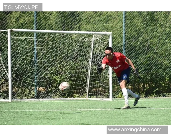 疯狂球场上的足球巨星们激情四射的竞技人生与背后不为人知的故事揭秘
